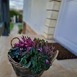Le Poulain Maison Cosy A La Campagne بيت للعطل *